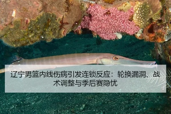 辽宁男篮内线伤病引发连锁反应：轮换漏洞、战术调整与季后赛隐忧