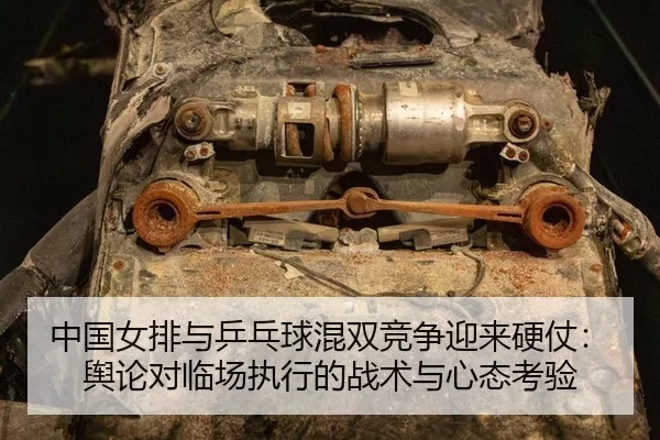 zhong-guo-nv-pai-yu-ping-pang-qiu-hun-shuang-jing-zheng-ying-lai-ying-zhang-yu-lun-dui-lin-chang-zhi-xing-de-zhan-shu-2-109.jpg